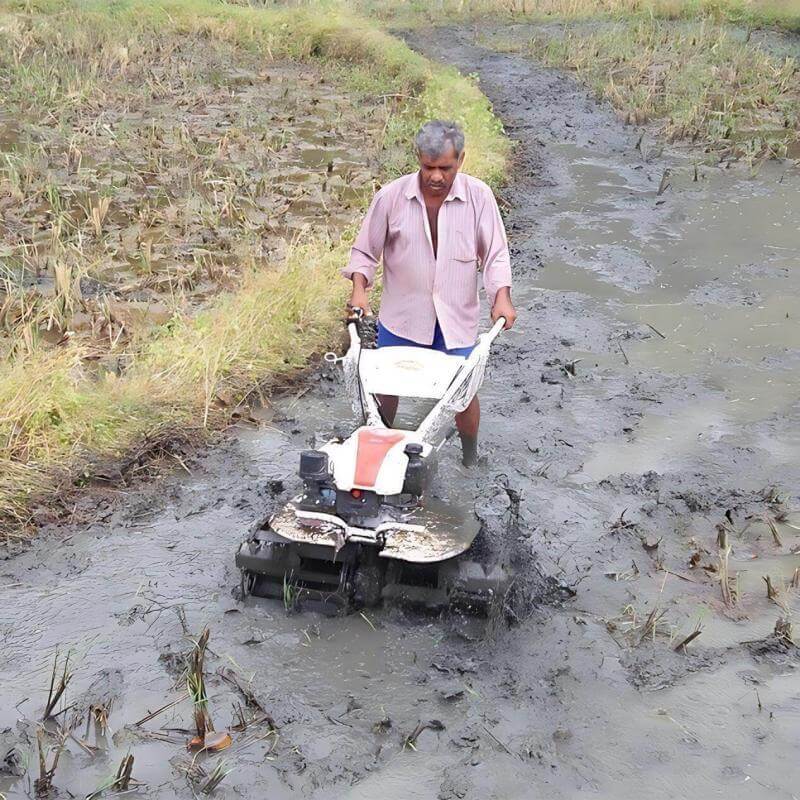 Tennma paddy field
