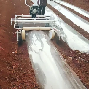 fuyun dragon mulching greenhouse